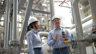 Danantara dan INA Bidik Proyek Strategis Nasional Milik Chandra Asri