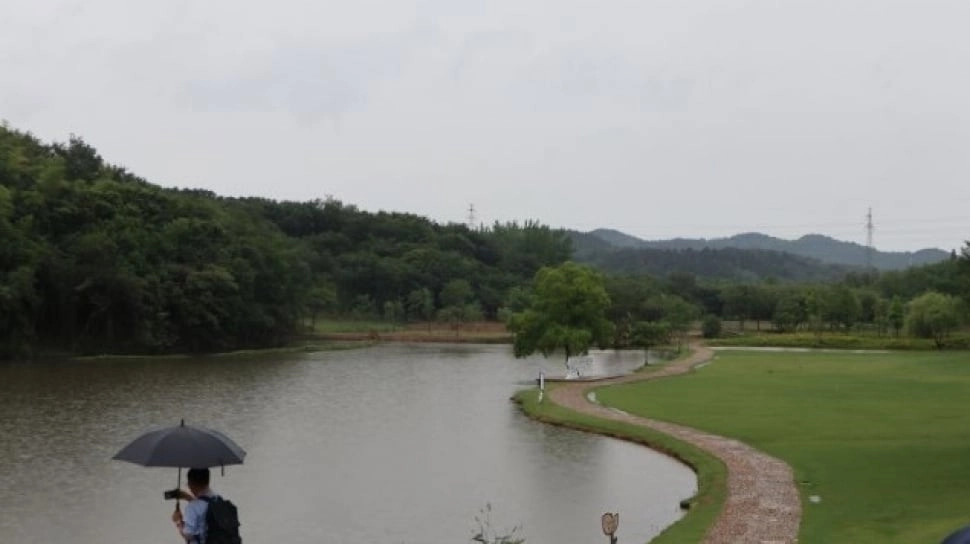 Desa Jadi Mesin Ekonomi: Kisah Sukses Revitalisasi Pedesaan di China