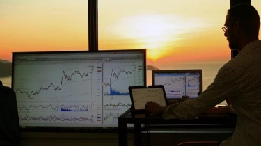 Trading Volume Pintu Naik 53 Persen, Transaksi Paling Banyak Bitcoin, Pepe dan Solana