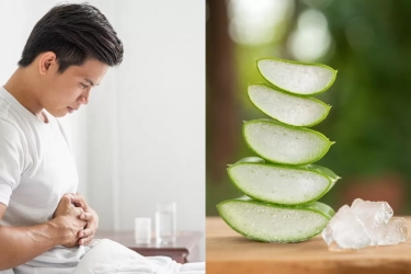 Ini Manfaat Lidah Buaya untuk Asam Lambung dan Meredakan GERD, Penelitian Ungkapkan Hal Ini!