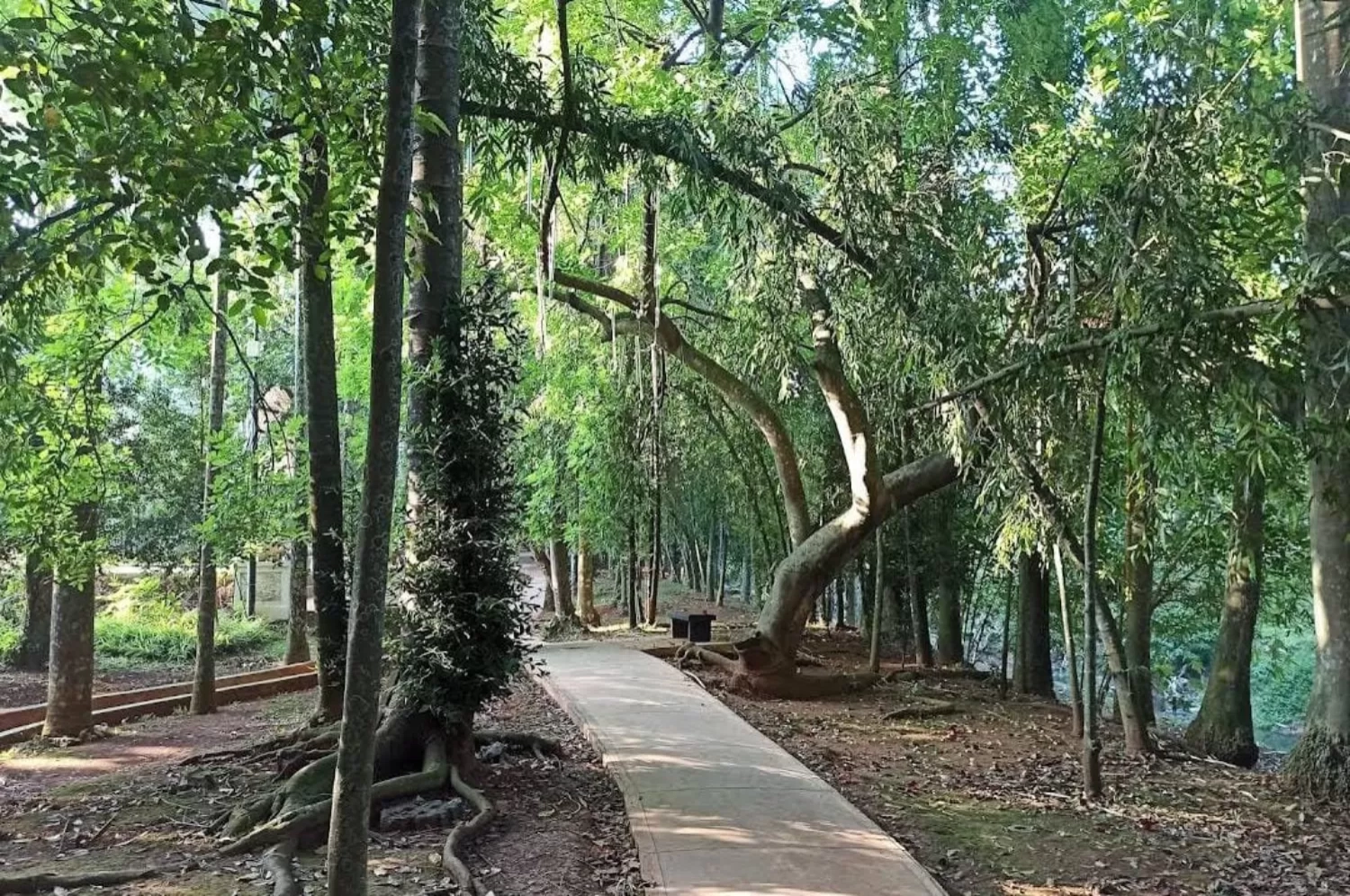 Rekomendasi 5 Tempat Healing di BSD City Tangerang yang Cocok untuk Melepas Penat, Ada yang Bisa untuk Naik Kuda!
