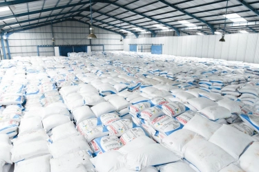 Erick Thohir dan Danantara Rombak Direksi Pupuk Indonesia, Berikut Susunan Terbarunya