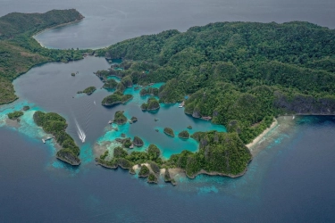 KKP Klaim Ekosistem Perairan Sekitar Pulau Gag Masih Baik Meski Ada Tambang Nikel