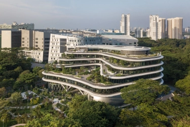 Profil Grup Wilmar, Raksasa Sawit RI tapi Kantor Pusatnya di Singapura