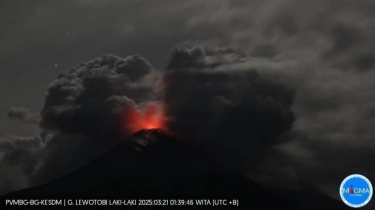 Gunung Lewotobi Laki-Laki Meletus, BNPB Pastikan Tidak Ada Korban