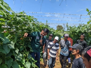 Dorong Produksi Pertanian, Ewindo Bangun Learning Farm untuk Pembelajaran Bagi Petani