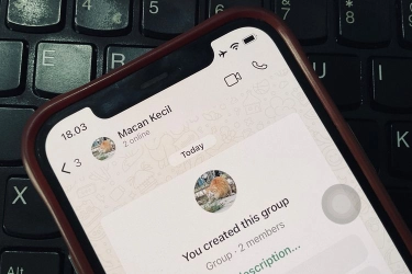 Muncul Status Online di Grup WhatsApp, Apa Itu?