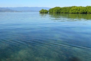 Pulau Panjang Sumbawa, Plihan Kawasan Wisata Konservasi di NTB
