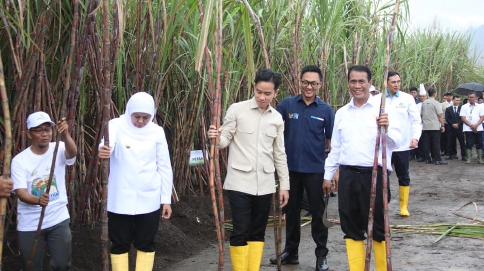 Akselerasi Swasembada Pangan, Wapres Gibran dan Mentan Amran Panen Raya Gula di Banyuwangi