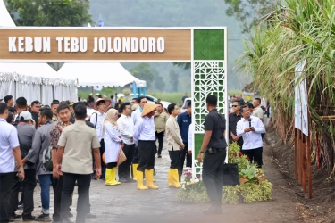 Kunker Ke Banyuwangi, Wapres Panen Tebu Hingga Dialog Bersama Petani dari Berbagai Wilayah di Indonesia
