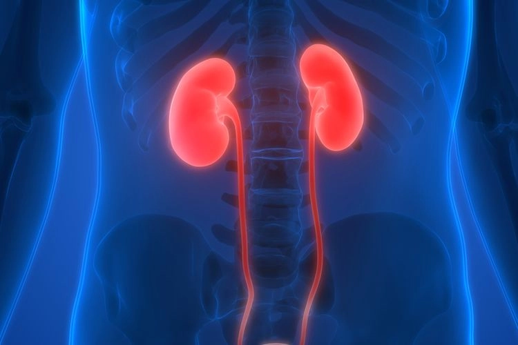 Dari Hengki Kawilarang Meninggal, Ketahui Ini Hubungan Diabetes dan Penyakit Ginjal