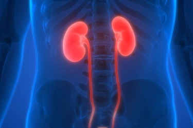 Dari Hengki Kawilarang Meninggal, Ketahui Ini Hubungan Diabetes dan Penyakit Ginjal