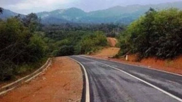 Hutan Adat Terancam: Izin Konsesi Kayu Menggerogoti Identitas Masyarakat Mentawai