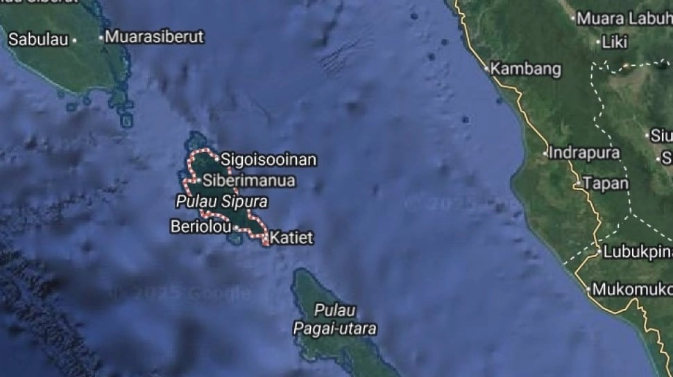 Mentawai di Ujung Tanduk: Izin Konsesi Kayu Ancam Bencana Ekologis Lebih Dahsyat
