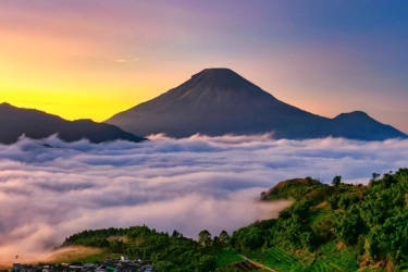 Rute dan Tiket Jakarta-Wonosobo Naik DAMRI, Berikut Harganya