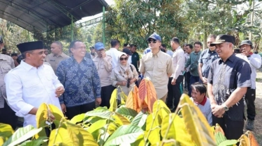 Kementerian Transmigrasi Bangun Koridor Ekonomi di Sulteng, Andalkan Durian hingga Kopi untuk Ekspor