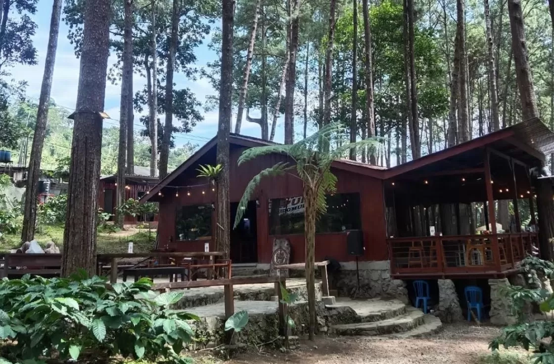 5 Tempat Wisata Tersembunyi di Jember yang Lagi Viral, Cocok untuk Liburan Sekolah dan Healing!