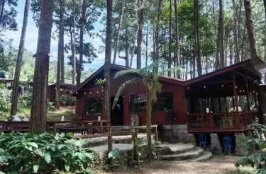 5 Tempat Wisata Tersembunyi di Jember yang Lagi Viral, Cocok untuk Liburan Sekolah dan Healing!