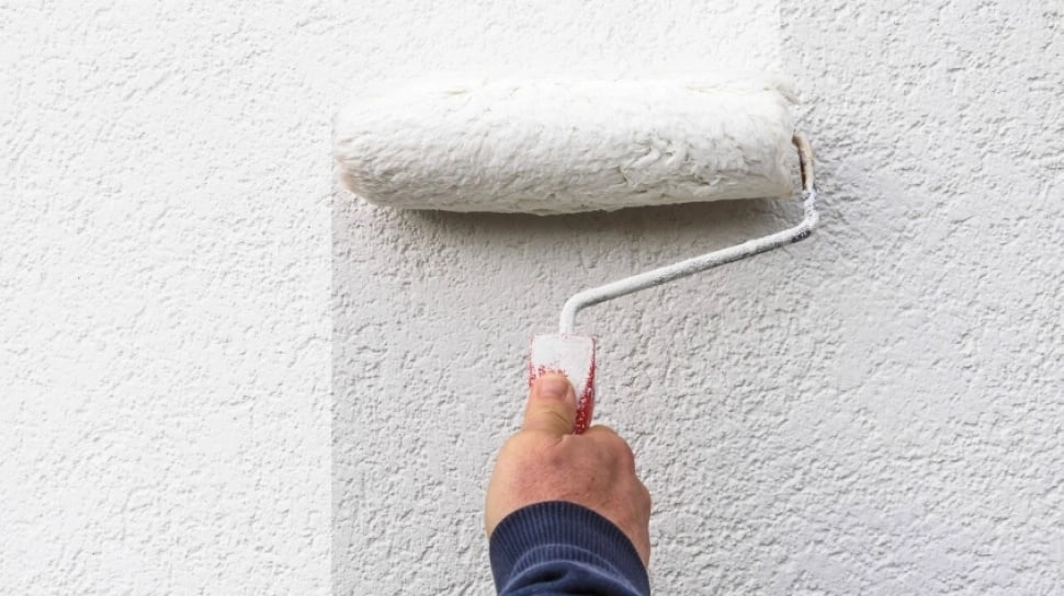 7 Cara Mengatasi Jamur dan Pengelupasan pada Cat Tembok, Mudah dan Murah