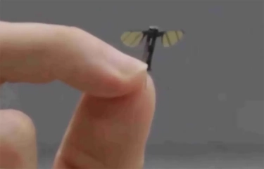 Tiongkok Kembangkan Drone Sekecil Nyamuk, Tanda Dominasi Baru di Arena Mata-Mata Udara