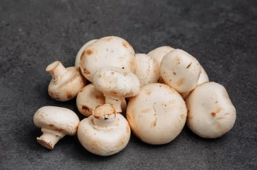 10 Manfaat Hebat Jamur: Sumber Gizi Alami yang Kaya Khasiat!