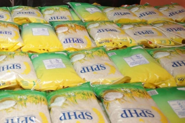 Beras SPHP Dioplos Jadi Premium, Mentan: Negara Tak Boleh Kalah dari Mafia