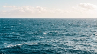 KTT Kelautan PBB di Nice Jadi Momentum Global Lindungi Laut, Apa Tantangannya?