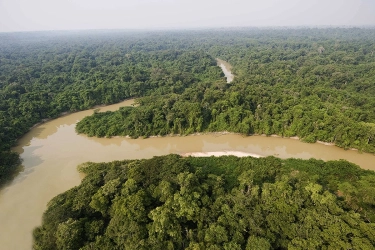 Hutan Amazon Diserbu Rating Bintang 1 di Google Maps oleh Netizen Indonesia