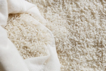 Produksi Beras Diperkirakan Turun Akhir Tahun, Harga Bakal Naik?