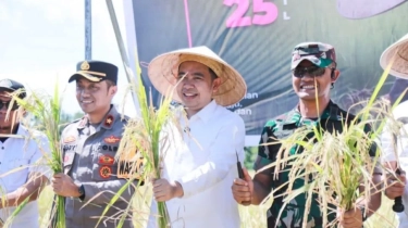 Pemkab Jember Menuju Swasembada Pangan, Gus Fawait Siapkan Empat Strategi