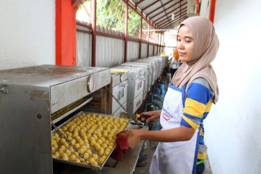 Bank Mandiri Salurkan KUR Rp 20,19 Triliun, 54,45 Persen dari Target 2025