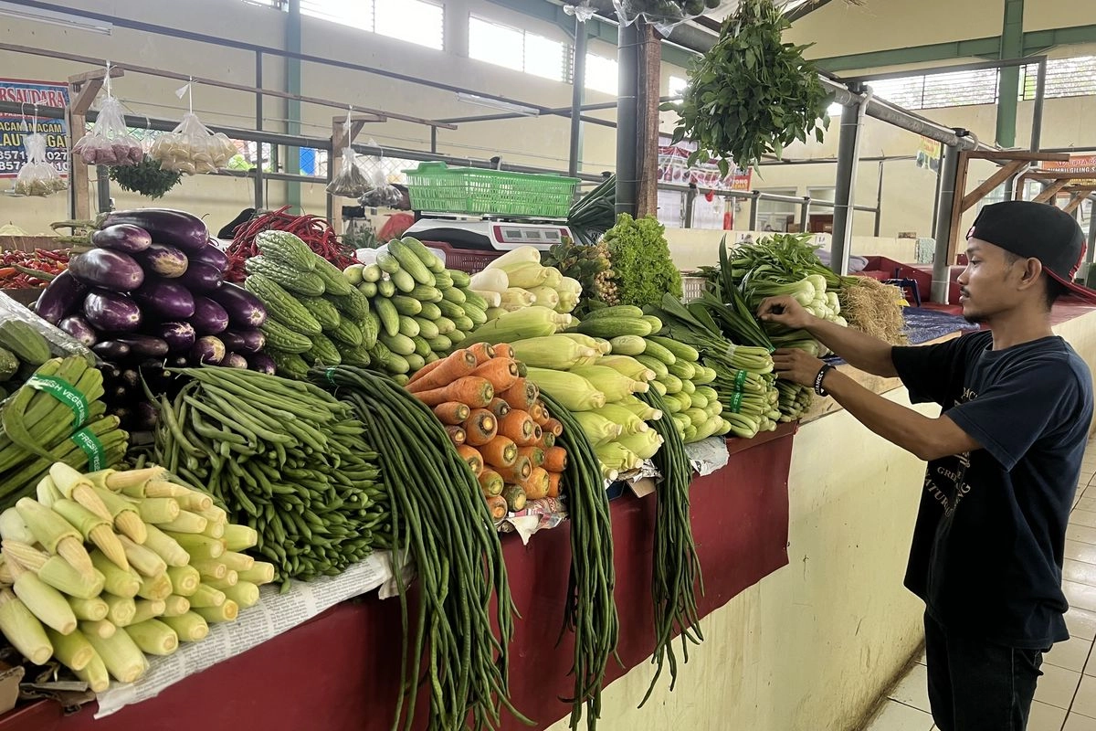 Harga Beras dan Cabai Rawit Naik, Inflasi Juni 2025 Capai 0,19 Persen