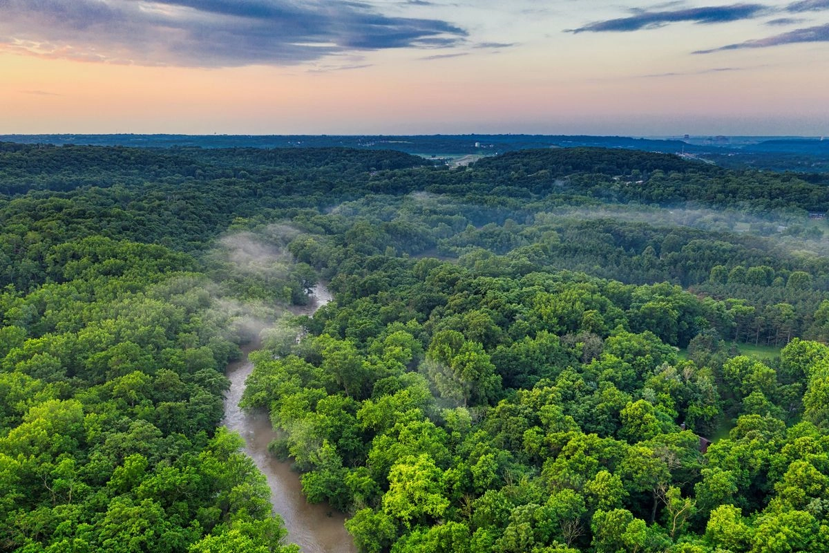 Hutan Amazon Terletak di Mana? Ternyata Ada di 9 Negara