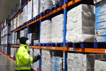Ekspor Produk Beku Meningkat, Industri Logistik Perikanan Indonesia Kebut Infrastruktur Rantai Dingin