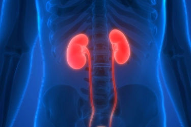 Belajar dari Hamdan ATT Meninggal, Ketahui Gejala Penyakit Ginjal…