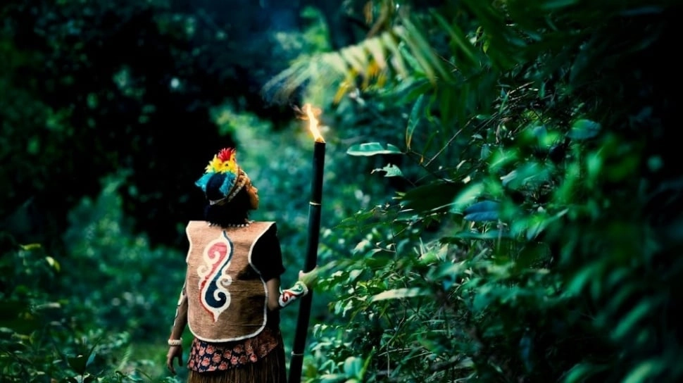 Suara dari Tanah yang Terluka: Orang Muda Papua Menuju COP30