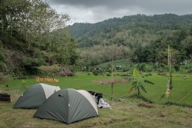 Trekking Santai di Desa Tinalah Kulon Progo, Ada Jalur 