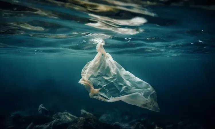 Ancam Kesehatan! Waspada Bahaya Mikroplastik, Tersebar dari Lautan Hingga Produk Kemasan yang Anda Gunakan