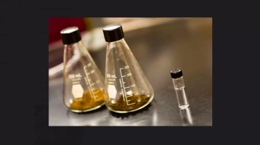 BBM Beretanol 10 Persen Direncanakan Diterapkan Mulai 2026, Siap-siap Masyarakat Tambah Pengeluaran, Lebih Boros!