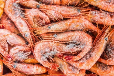 Ekspor Udang ke AS Tetap Jalan, Pemerintah Siapkan MoU Sertifikasi dengan FDA