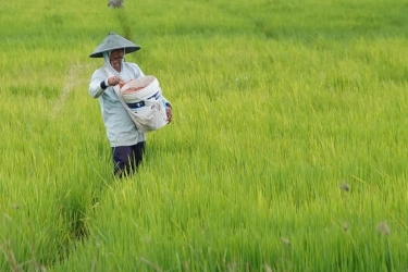 Kepuasan Petani terhadap Kinerja Kementan Capai 84 Persen