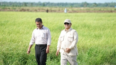 Berdasar Survei Litbang Kompas, 71,5 Persen Publik Puas dengan Kinerja Kementan