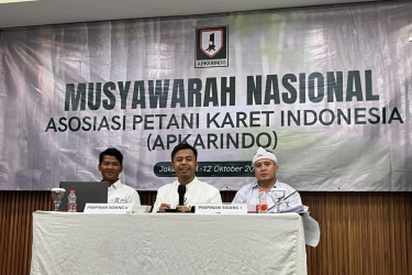 Karet Rakyat di Persimpangan: Harga Murah, Petani Terancam Tinggalkan Lahan