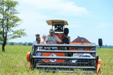 Kementan Komitmen Jaga Stabilitas Harga dan Tingkatkan Produktivitas Petani, Pengamat Beri Respons Positif