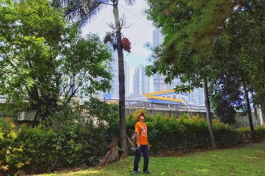 Mau Healing Gratis di Jakarta Barat? Ini Panduan Lengkapnya