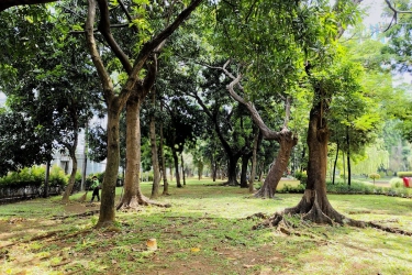 Menyambangi Taman Cattleya, Wisata Terbuka Hijau di Jakarta Barat