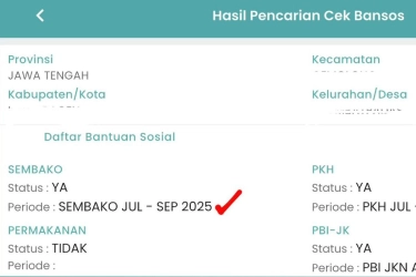 Cara Mengecek Bansos BPNT 2025 Lewat HP, Cek di Aplikasi atau Situs Kemensos