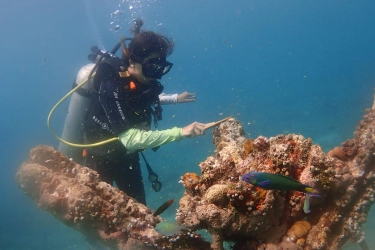 Keindahan Desa Wisata Pemuteran Bali, Desa Wisata Terbaik Dunia 2025