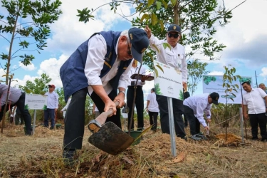 Kepala Otorita IKN Pastikan Tindak Tegas Aktivitas Ilegal di Kawasan IKN