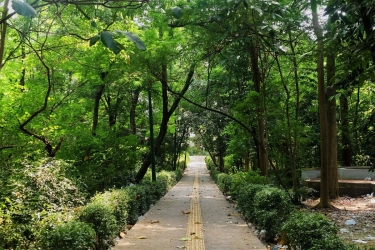 Lokasi, Jam Buka, dan Harga Tiket Hutan Kota Srengseng, Wisata Hutan di Jakarta Barat